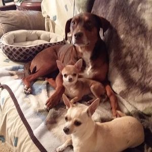 Meet your Posher, Rebecca